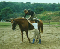 Hippotherapie